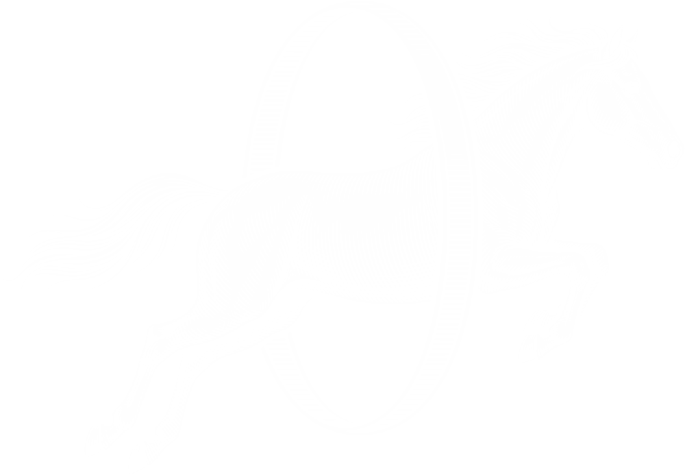 Конь — символ ОНИКС